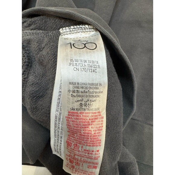 Disney 100 Disneyland Tinkerbell Gray Cropped  Oversized Hoodie The Eras Sz 1X - Picture 8 of 9